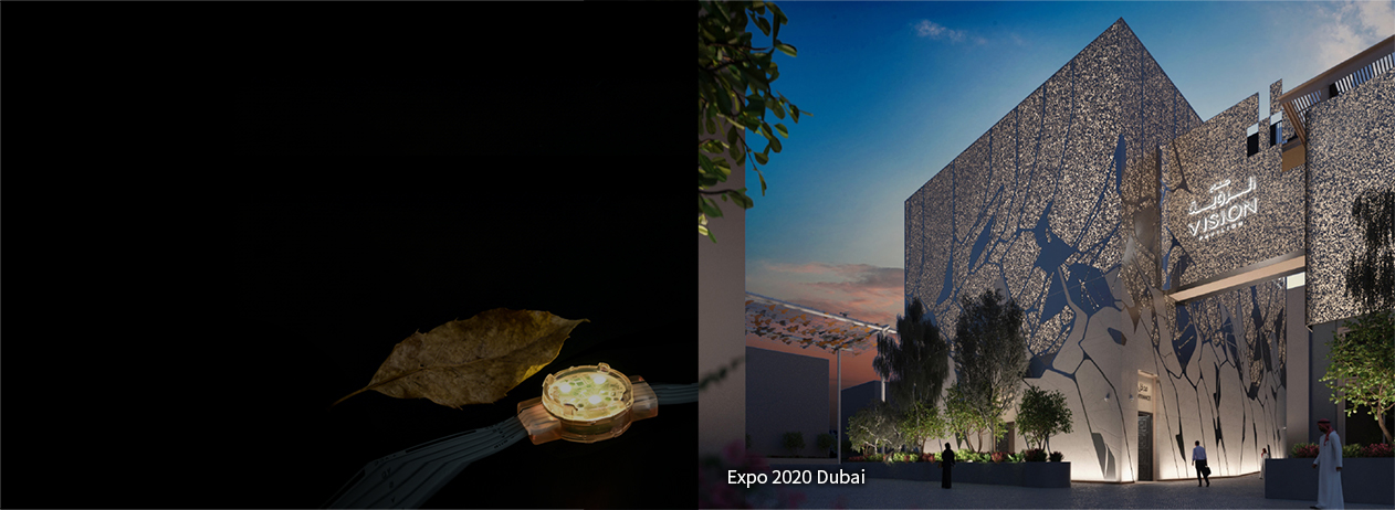 architectural facade lighting with uniform and dynamic illumination for building structures